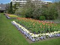 The botanical gardens in Christchurch