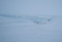 The entrance to an ice cave found in the Erebus glacier tongue