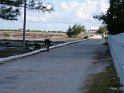 8/21/10: Wild donkey on the main freeway on Salt Cay :-)