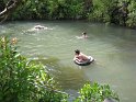 3/25/09: Logan, Kurt, and Clarence taking a dip after ziplining