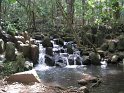 3/26/09: Another hike in the woods to a waterfall